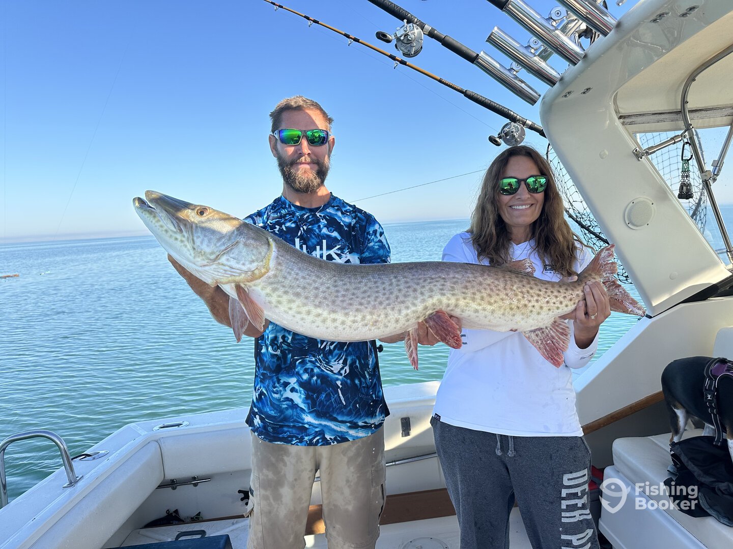 St. Clair Shores Report Photo 0