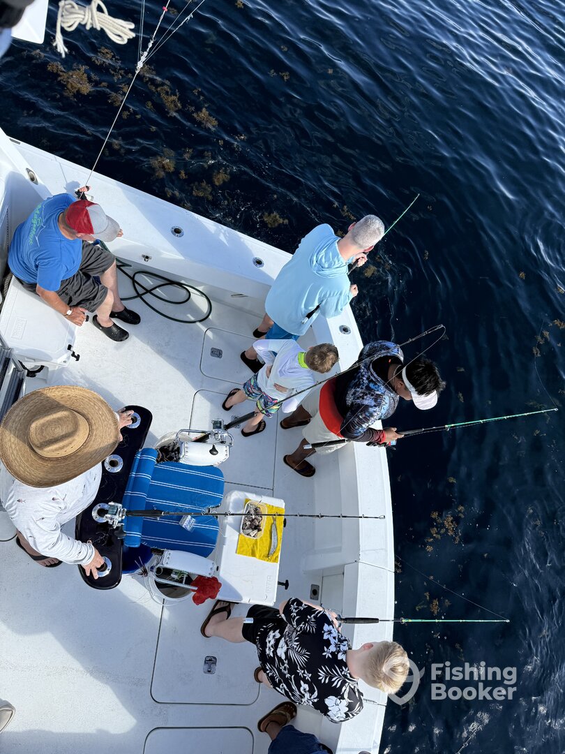 Puerto Aventuras Report Photo 0