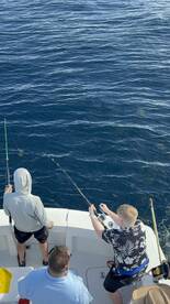 Puerto Aventuras Report Photo 1