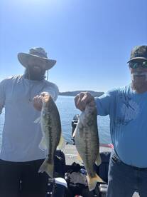 Branson Report Photo 2