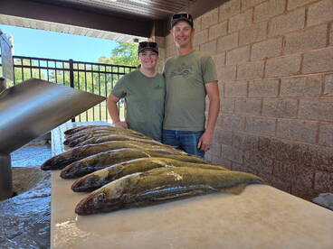 Big Lake Erie Walleye are biting!