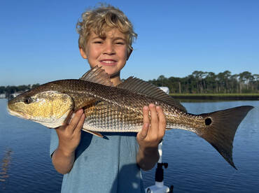 Jacksonville Report Photo 1