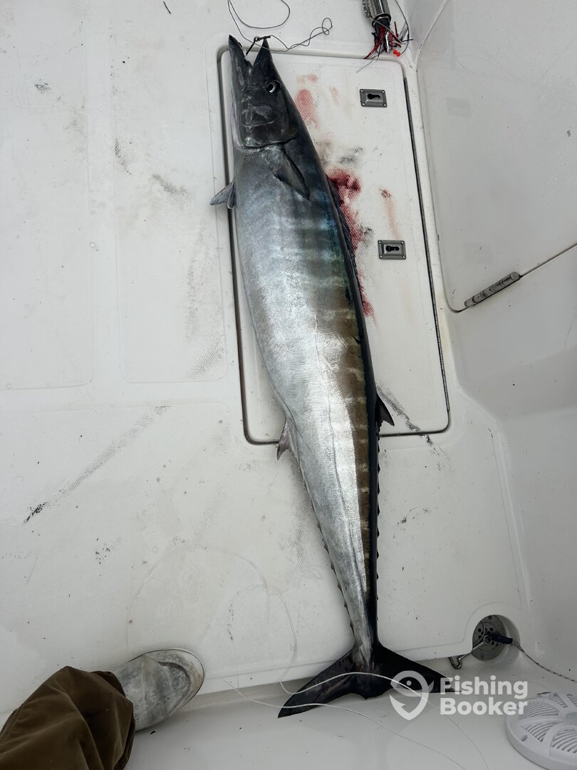 Carolina Beach Report Photo 0
