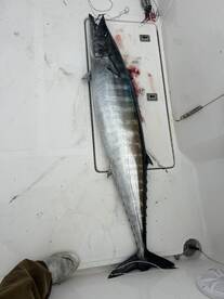 Gulf Stream is heating up