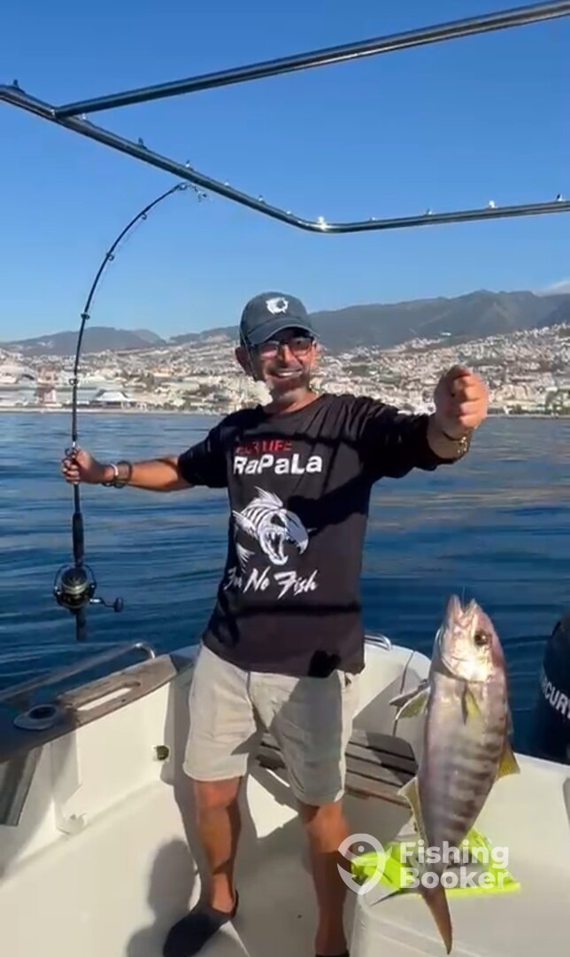 Funchal Report Photo 0