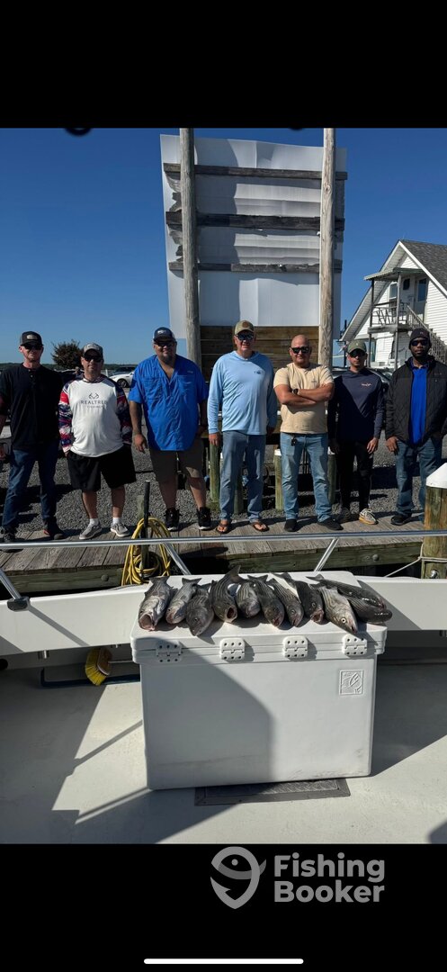 Solomons Report Photo 0