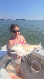 Galveston Report Photo 1