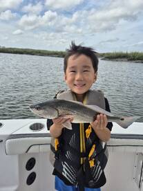 Hilton Head Island Report Photo 2