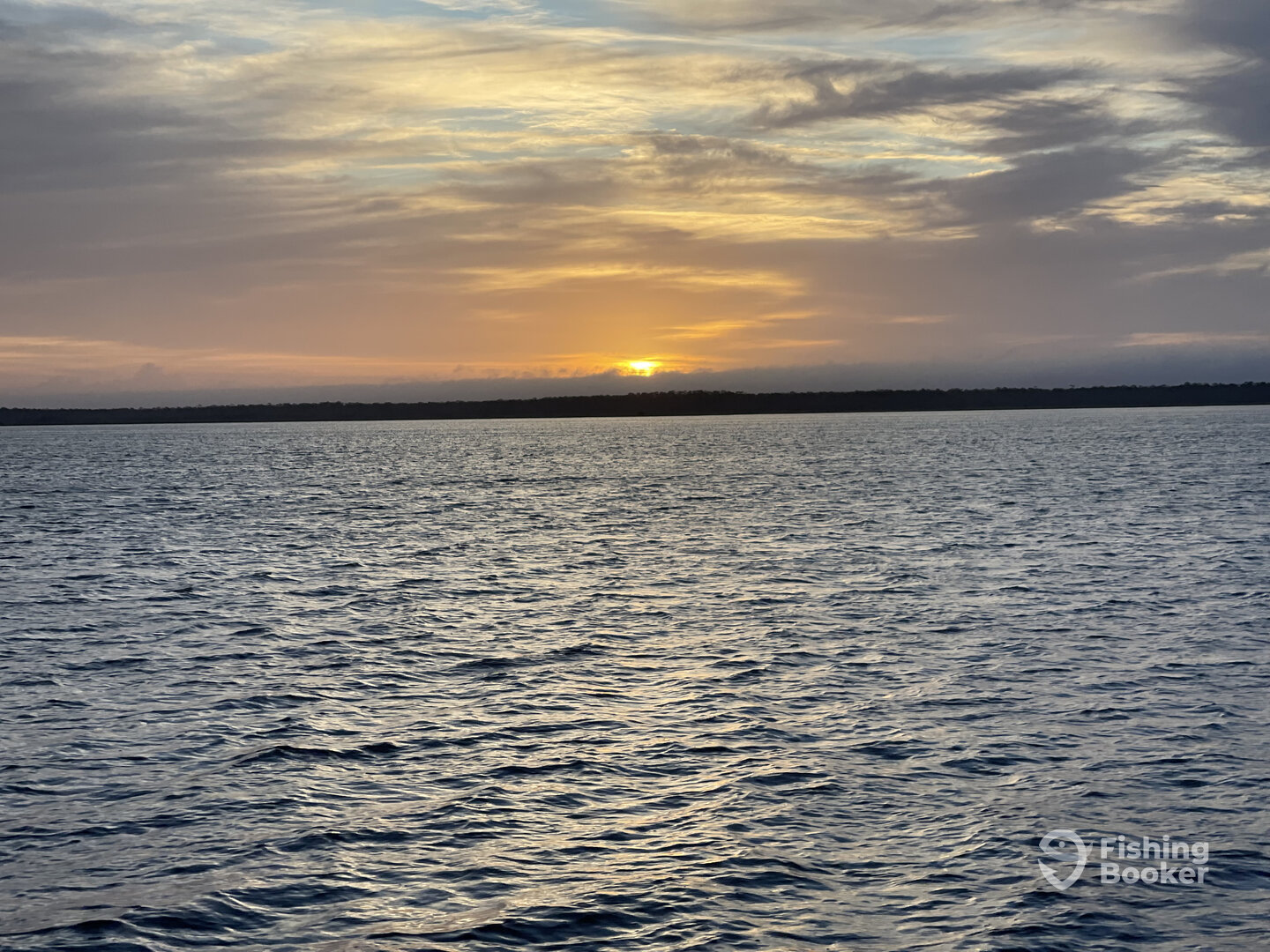 Steinhatchee Report Photo 0