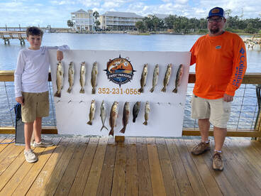 Steinhatchee Report Photo 1