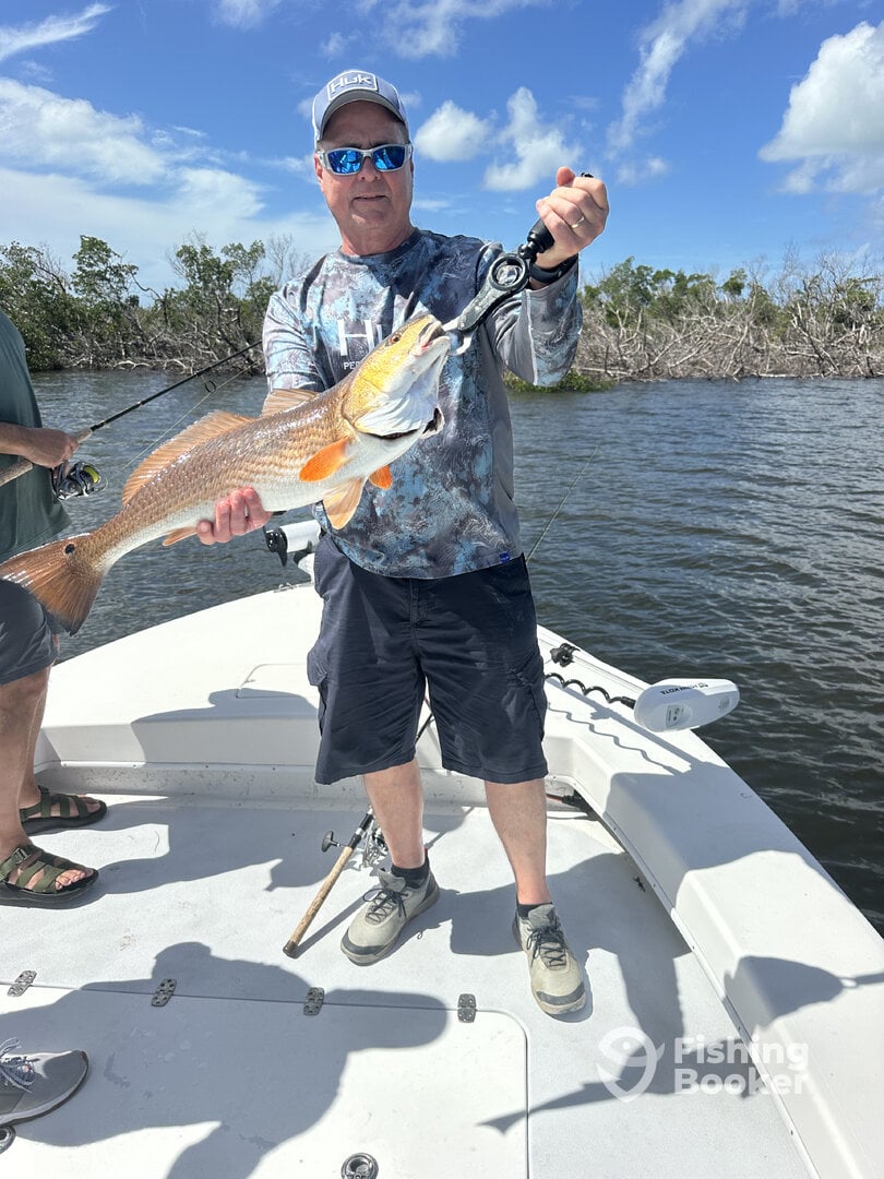 Gasparilla Island Report Photo 0