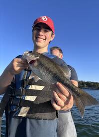 Branson Report Photo 2