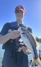 Branson Report Photo 1