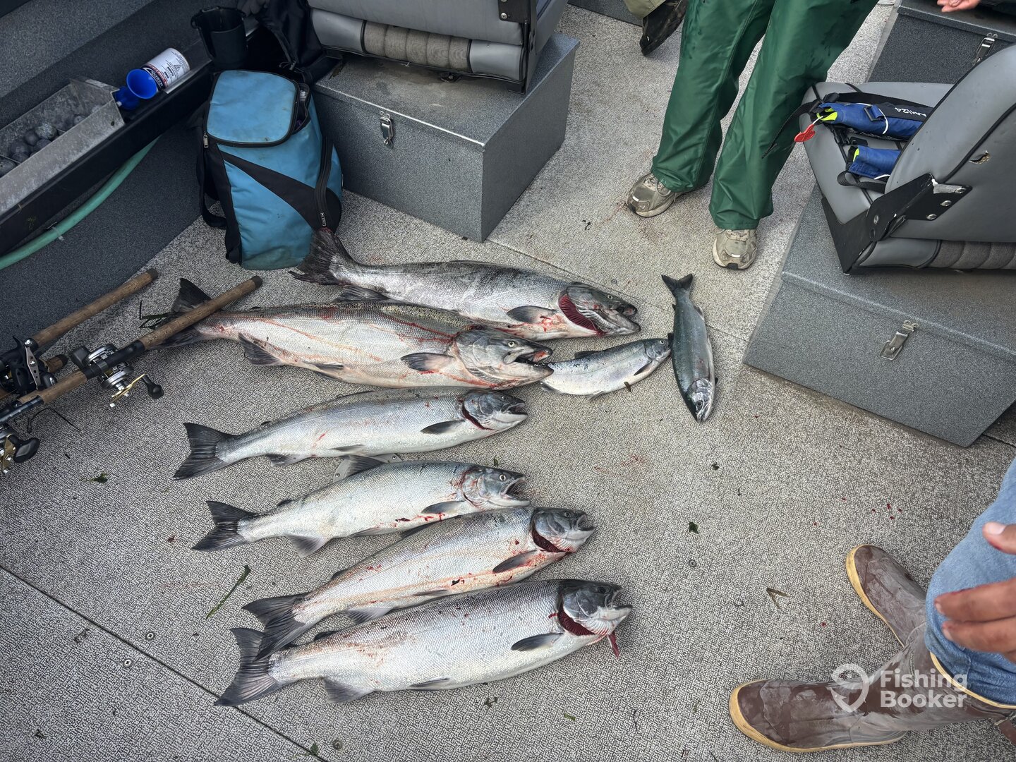 Tillamook Report Photo 0