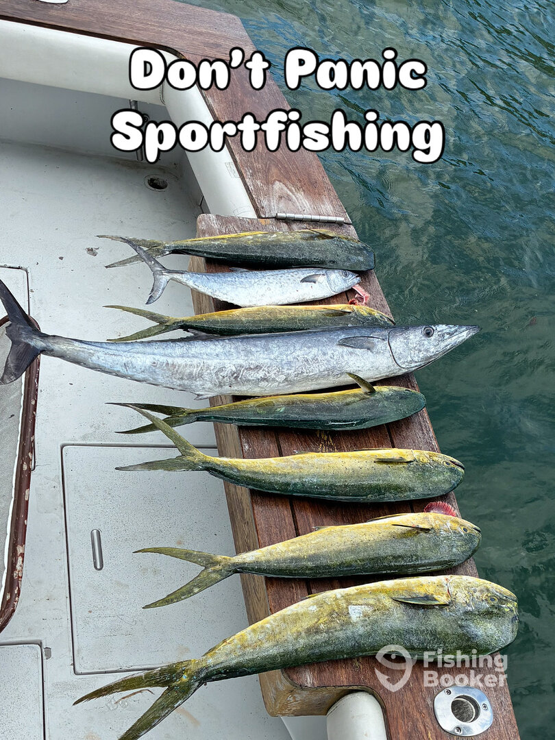 Pompano Beach Report Photo 0