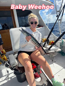 Baby wahoo