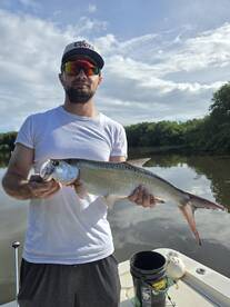 05/09/2025 morning action