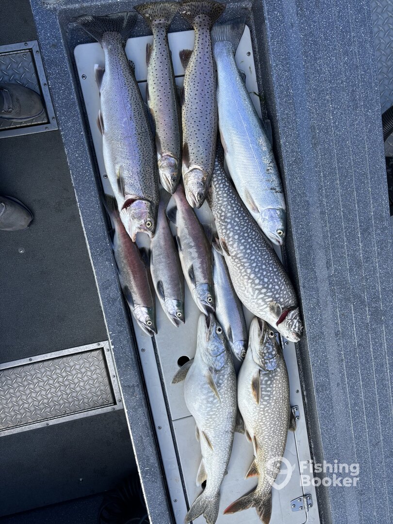 Lake Tahoe Report Photo 0