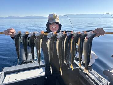 South Lake Tahoe Report Photo 4