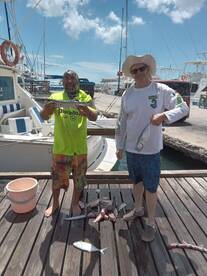 Aruba Report Photo 1