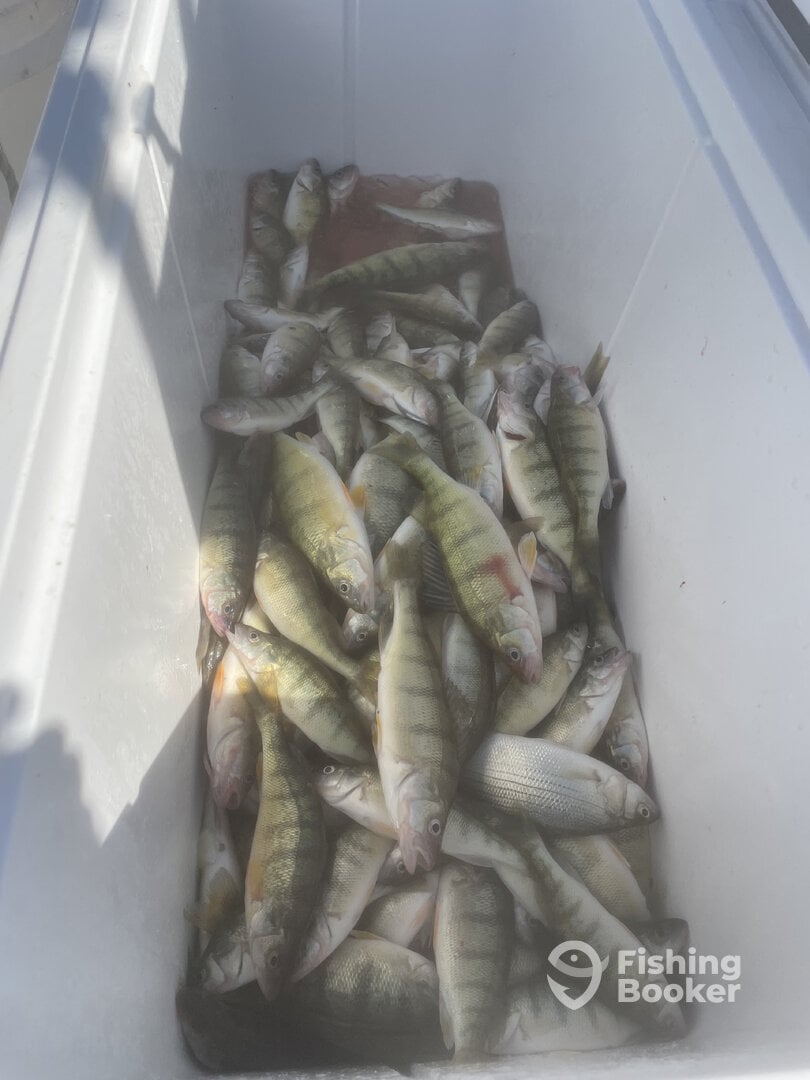 Sandusky Bay Report Photo 0