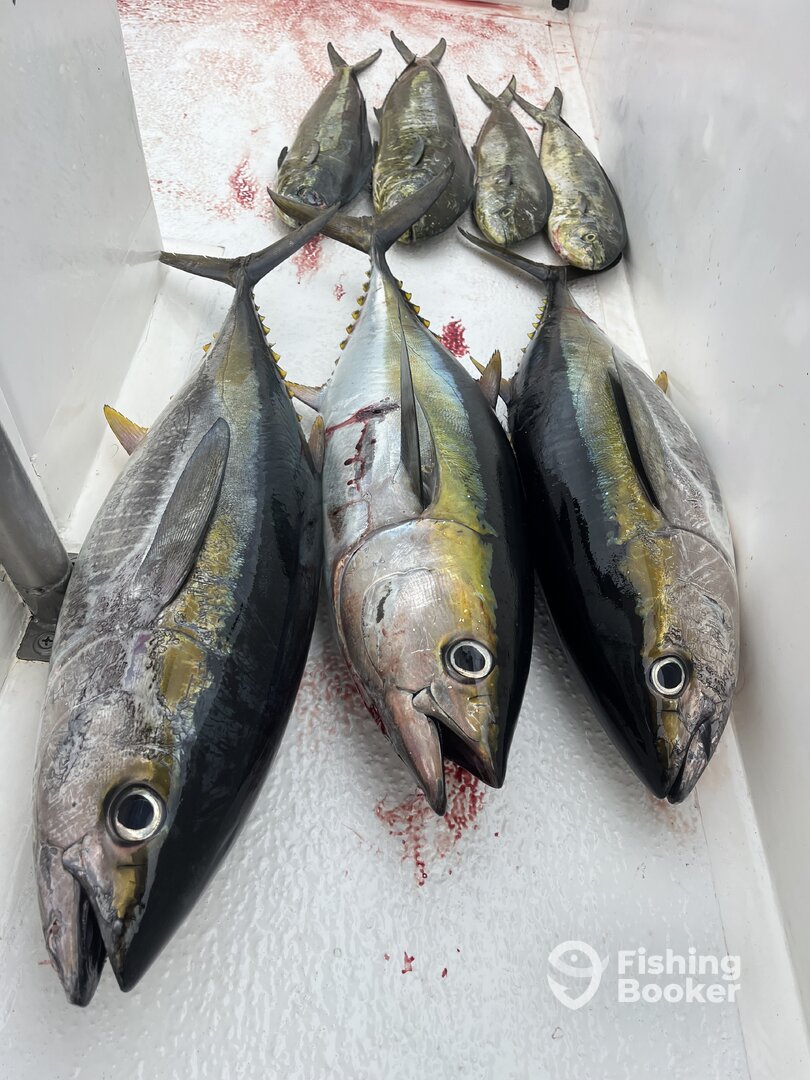 Costa Rica Report Photo 0