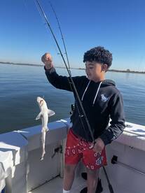Jamaica Bay Report Photo 2