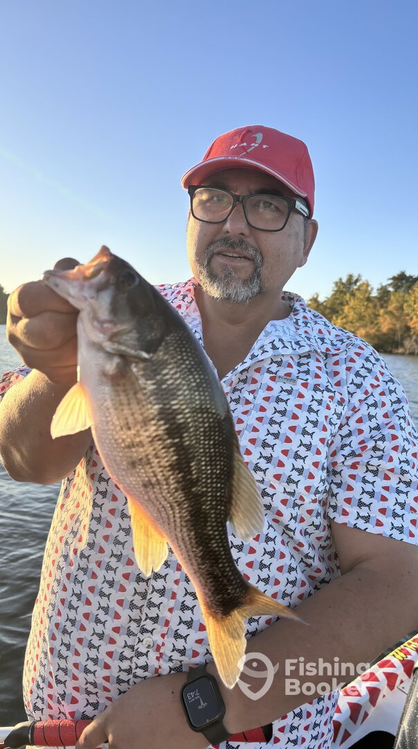 Branson Report Photo 0