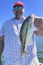 Branson Report Photo 2