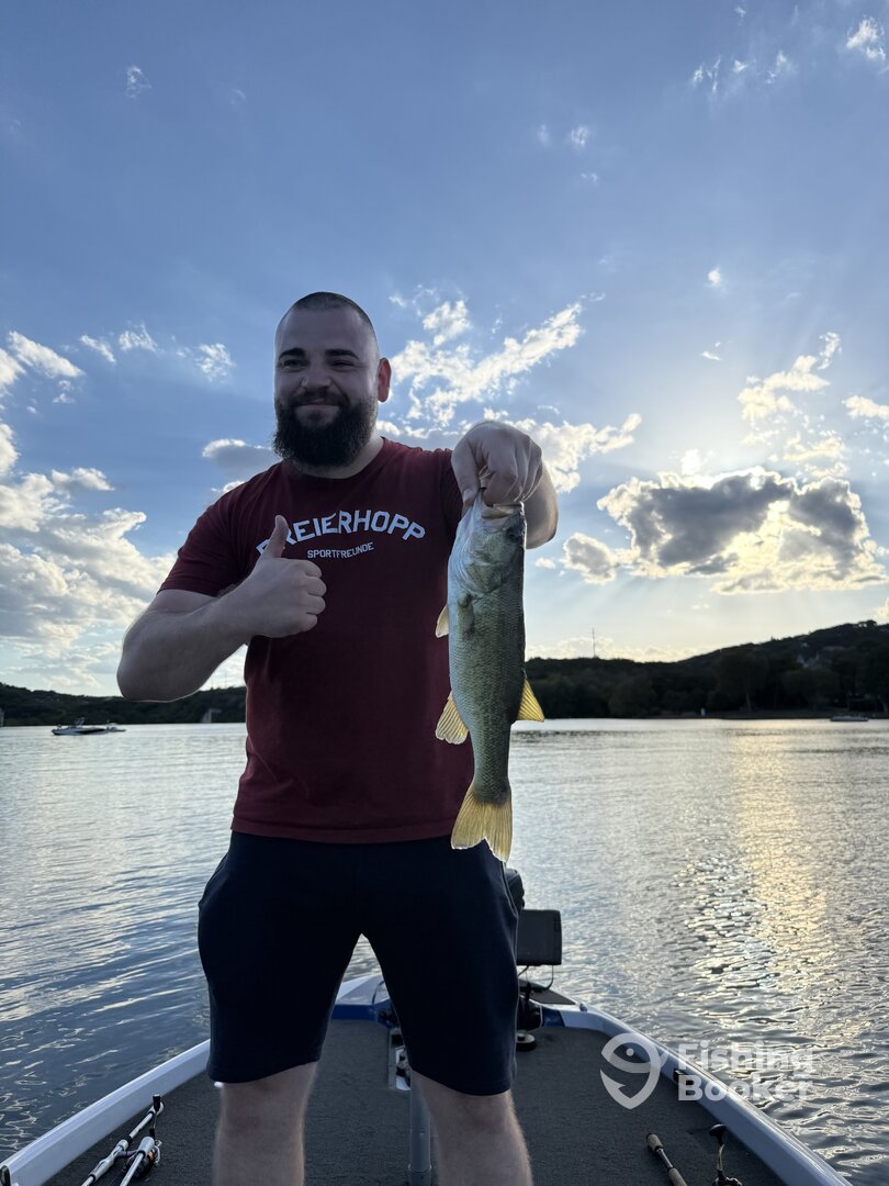 Austin Report Photo 0