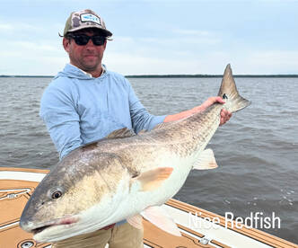 Nice Redfish