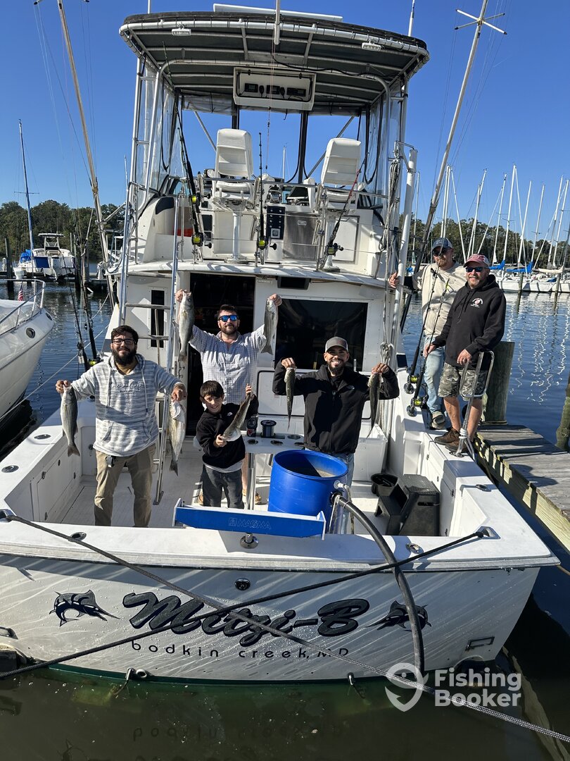 Pasadena Report Photo 0