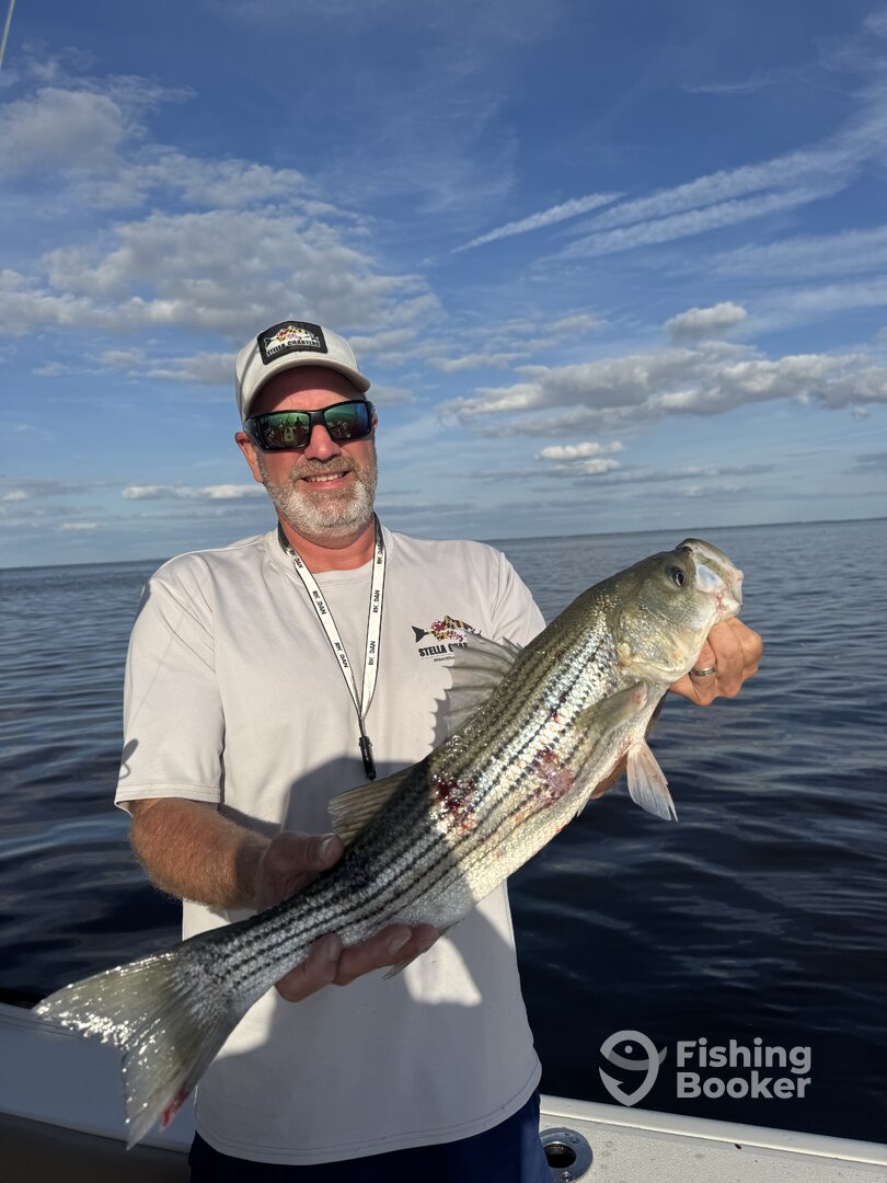 Pasadena Report Photo 0