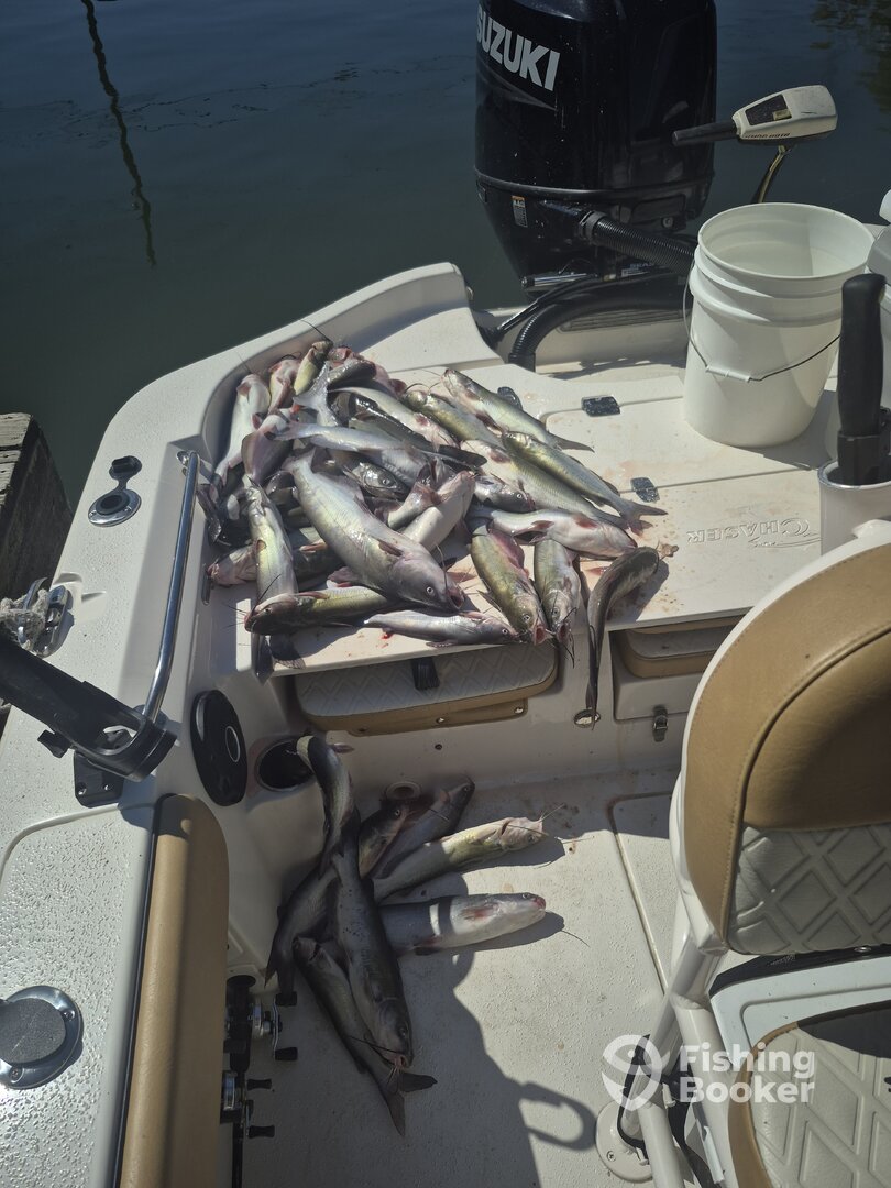 Lake Conroe Report Photo 0