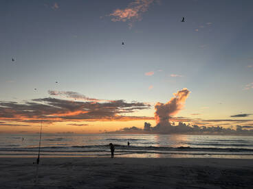 Boca Ciega Bay Report Photo 3
