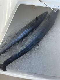 Carteret County Report Photo 1