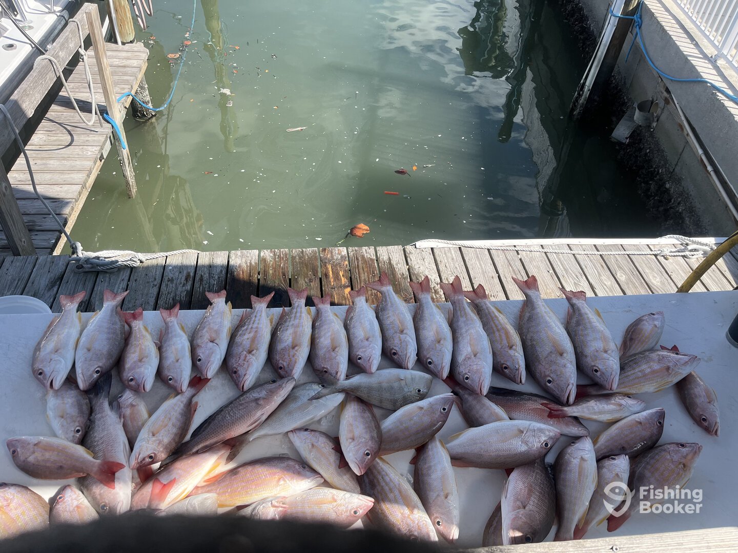 Marco Island Report Photo 0