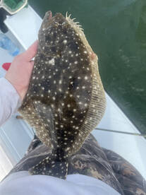 Boca Ciega Bay Report Photo 2
