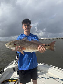 Mobile Bay Report Photo 2