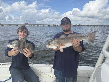 Dauphin Island Report Photo 2