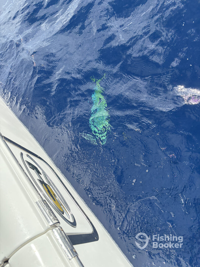 Big Pine Key Report Photo 0