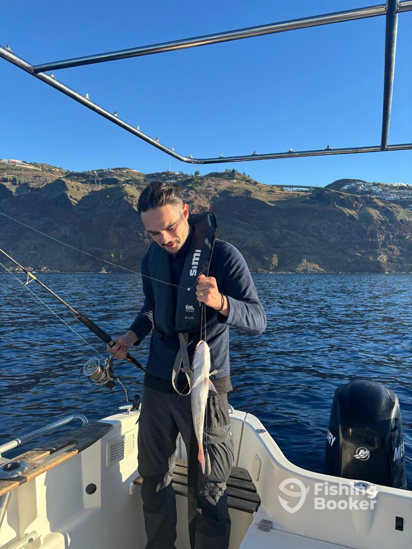 Madeira Report Photo 0