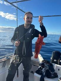 Funchal Report Photo 1