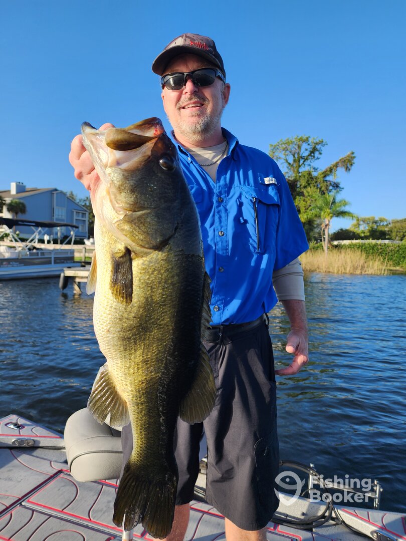 Orlando Report Photo 0