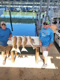 Bull Reds are on the move
