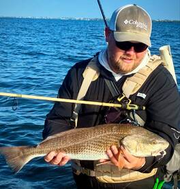 Palmetto Report Photo 4