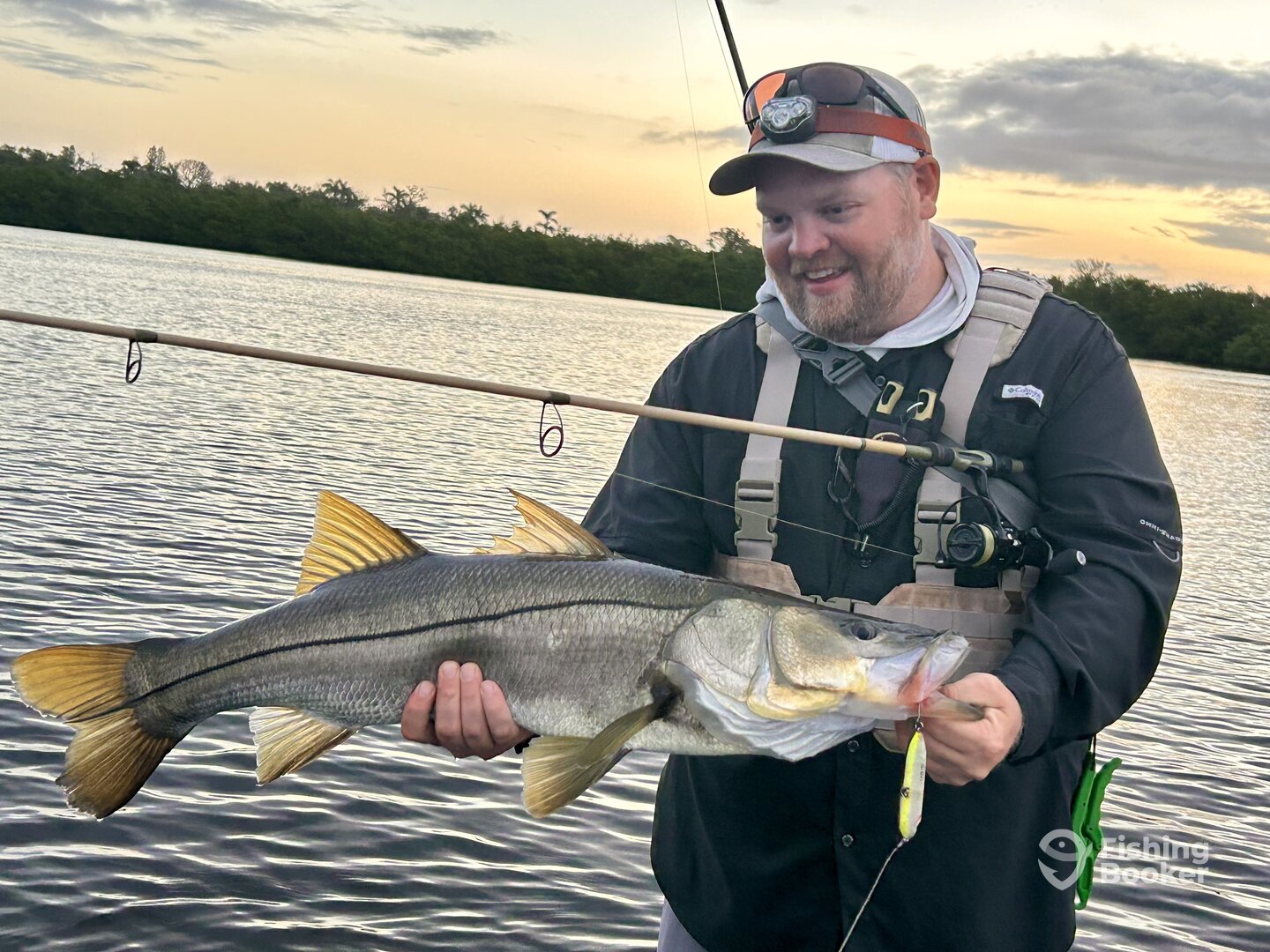 Palmetto Report Photo 0