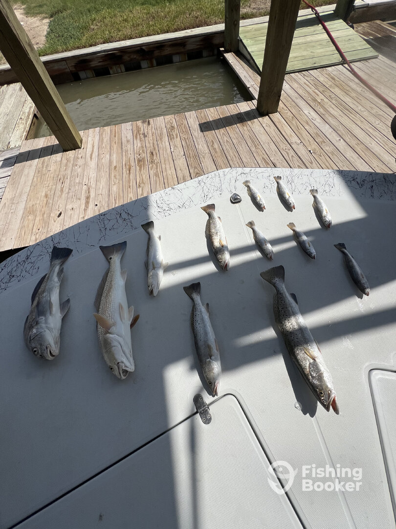 Matagorda Report Photo 0