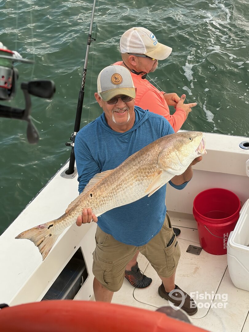Galveston Report Photo 0