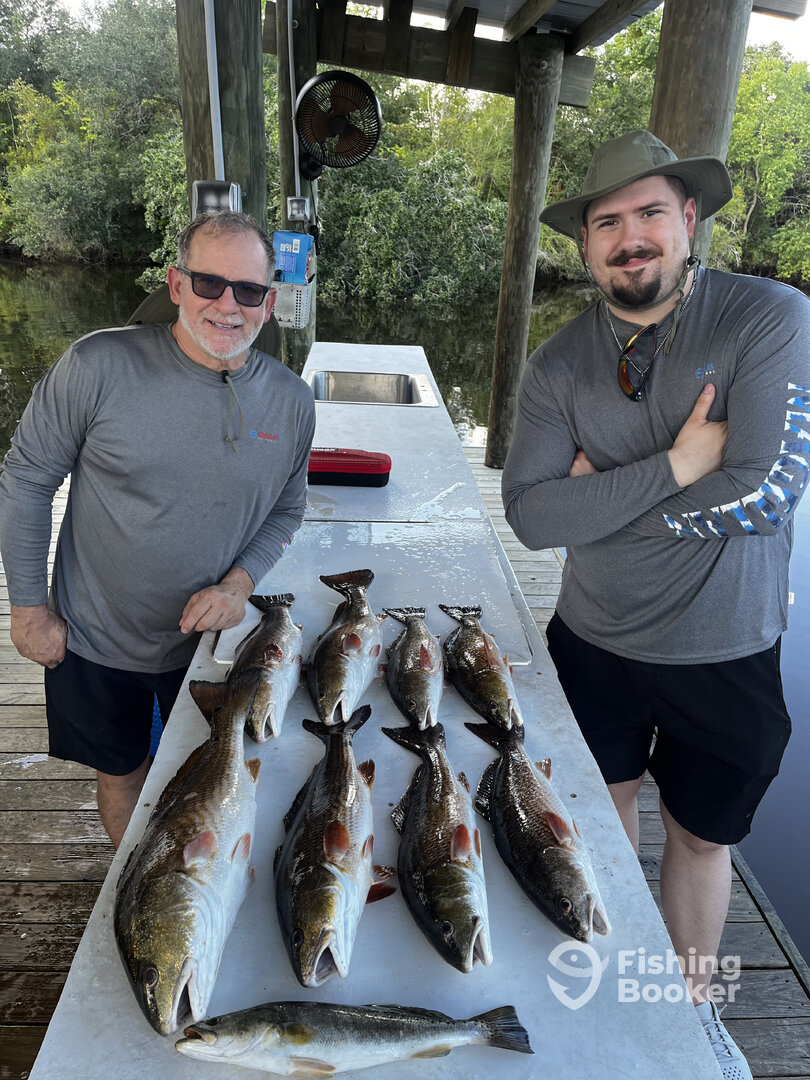 St. Bernard Report Photo 0